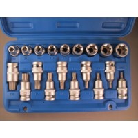 Torx set voor op de ratel